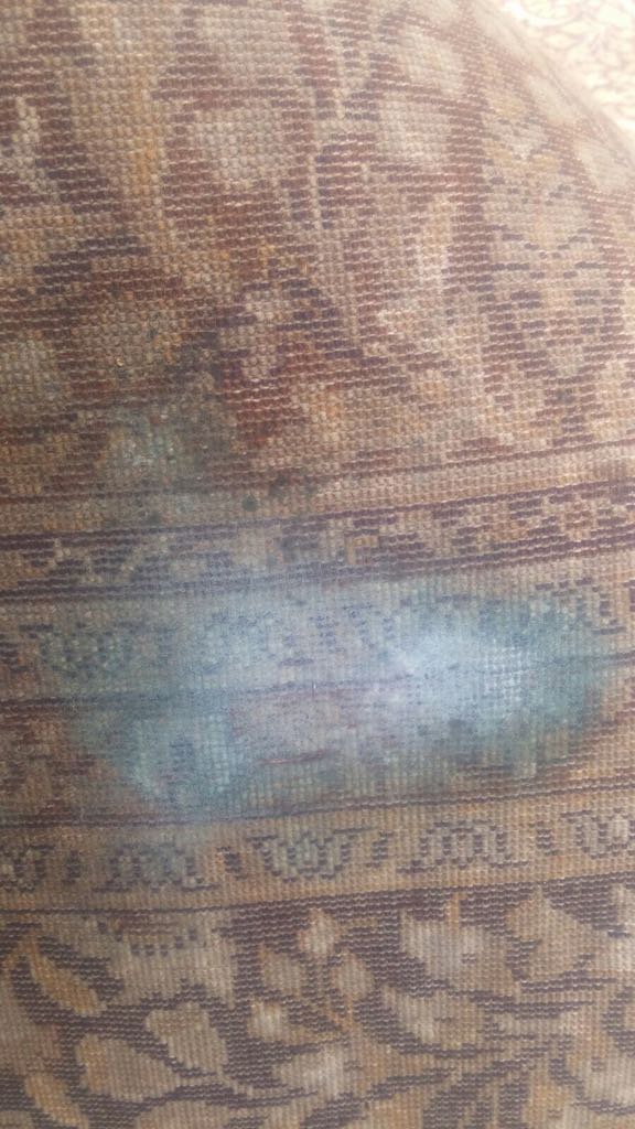 שטיח עם עובש