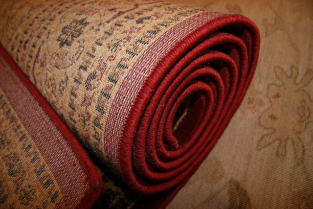 ניקוי וחיטוי שטיחים